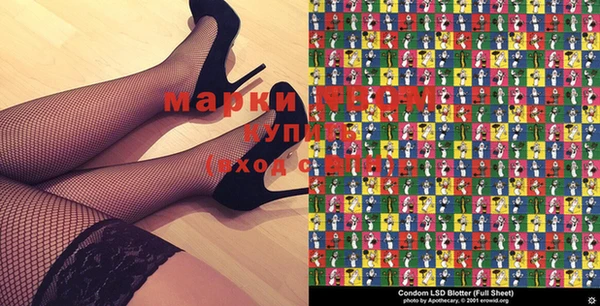 молекула духа Бородино
