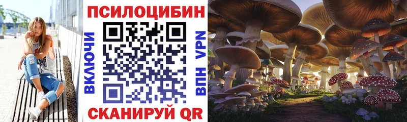 Псилоцибиновые грибы Cubensis  Бикин 